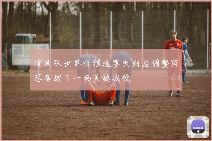 埃及队世界杯预选赛失利后调整阵容备战下一场关键战役