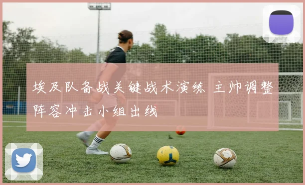 埃及队备战关键战术演练 主帅调整阵容冲击小组出线
